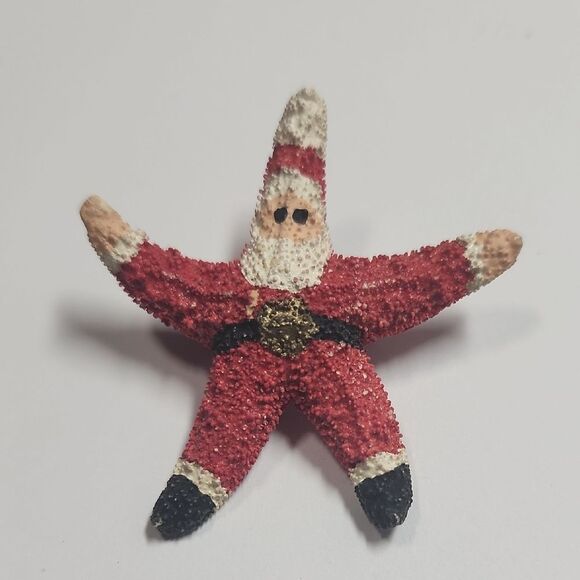 Hand Painted Starfish Brooch Santa Christmas Natural Dried - Picture 1 of 3